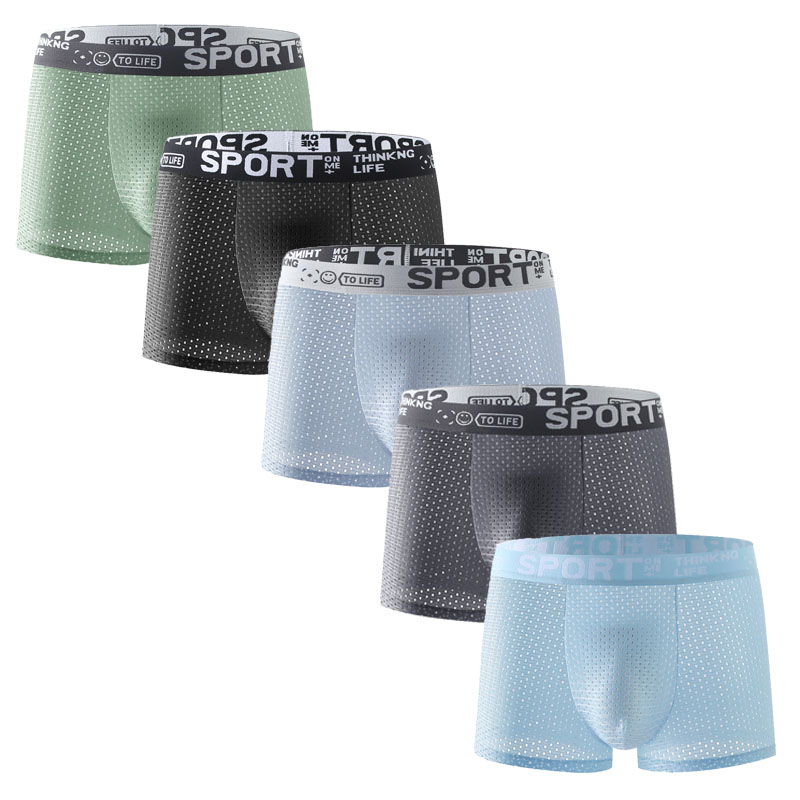 Mesh Sport Boxer - 5er-Set Herren-Boxershorts aus Eisseide mit Mesh-Einsätzen,