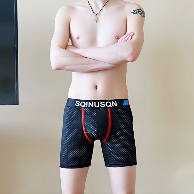 Herren-Boxershorts aus Eisseid – Mesh Sport Boxer Bewertung und Preis